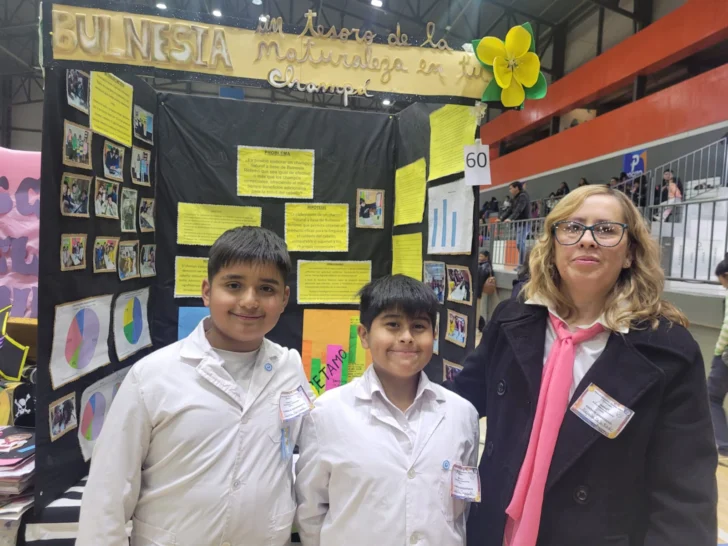 feria111-728x546