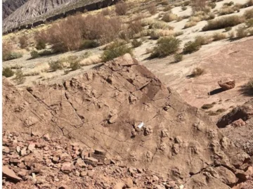Parque de las Huellas: cómo se preservará el hito que potenciará a San Juan en la paleontología mundial