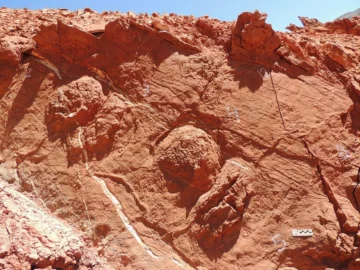 “Parque de las Huellas”: hallaron en San Juan un yacimiento de rastros de paleovertebrados triásicos