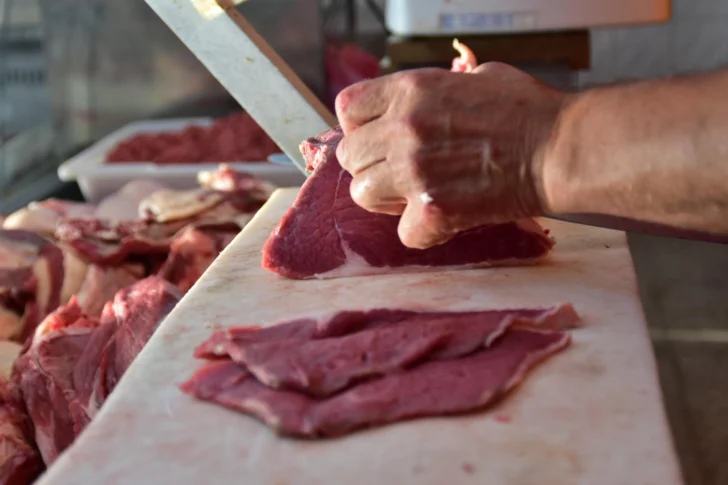 Carniceria-carne-12-728x485