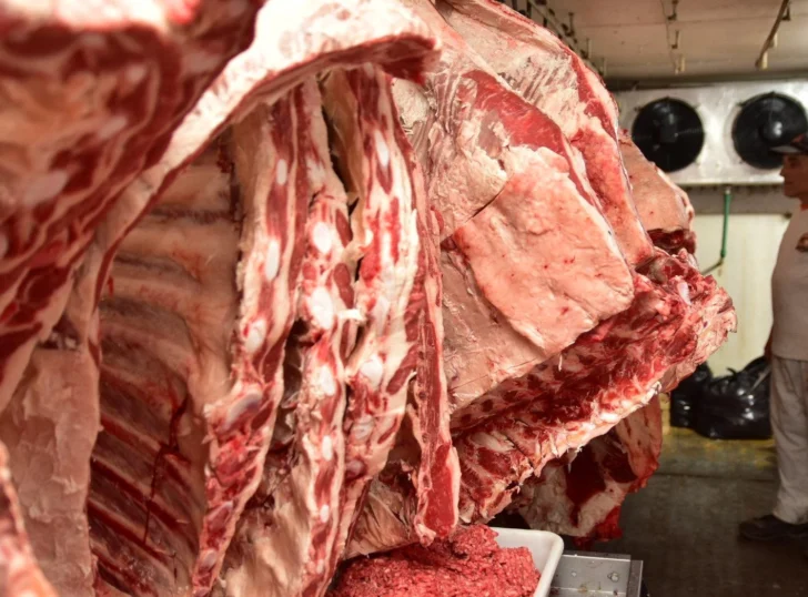 Carniceria-carne-13-728x538