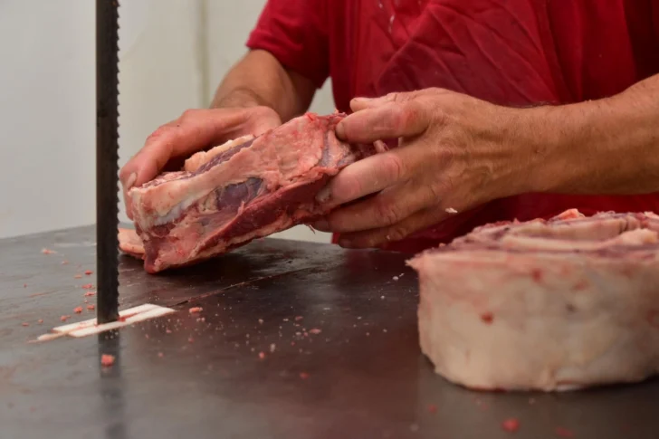 Carniceria-carne-9-728x485