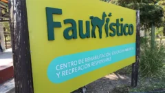 Vacaciones de invierno en San Juan: todas las actividades para este domingo y lunes