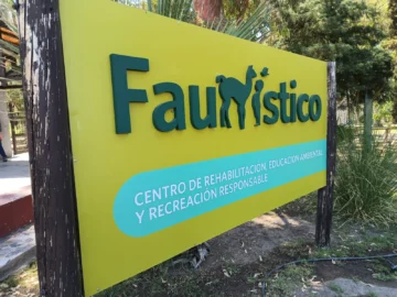 Vacaciones de invierno en San Juan: todas las actividades para este domingo y lunes