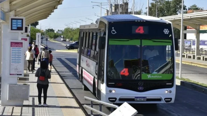 “Héroe sin capa”: un chofer sanjuanino detuvo el colectivo para salvar a un perro