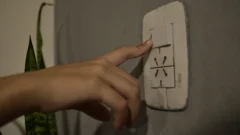 Loros cortaron cables eléctricos y provocaron un apagón en gran parte de Jáchal