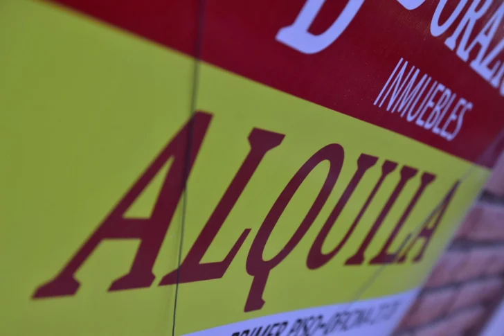 alquiler-alquila-1-728x485