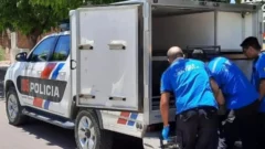 Conmoción en Valle Fértil: hachaba un árbol, se desplomó y murió
