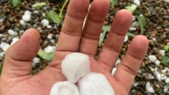 Emergencia y Desastre Agropecuario: qué contempla el decreto en san Juan