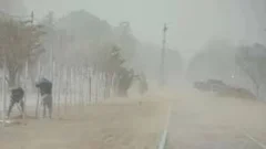 Urgente: rige alerta meteorológica por fuertes vientos para tres provincias