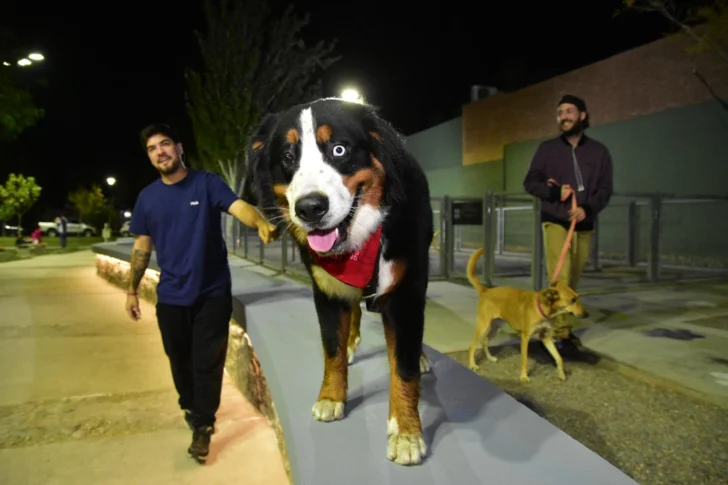 En Capital, inauguraron la primera plaza con espacios para los perros