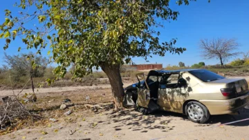 Perdió el control de su auto y chocó contra un árbol en Caucete