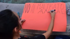 Hallaron una perra muerta con signos de abuso y quemaduras en San Juan