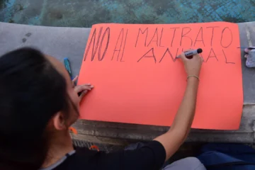 Hallaron una perra muerta con signos de abuso y quemaduras en San Juan