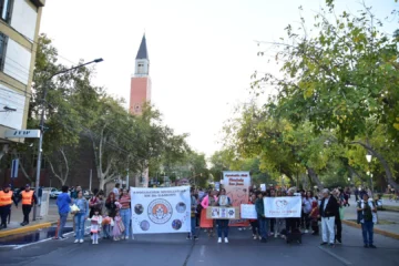 Proteccionistas alzaron su voz en el Día del Animal: pidieron leyes más firmes