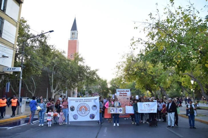 Proteccionistas alzaron su voz en el Día del Animal: pidieron leyes más firmes