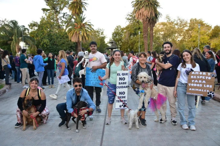 Dia-del-Animal-Diario-La-Provincia-SJ-12-728x485