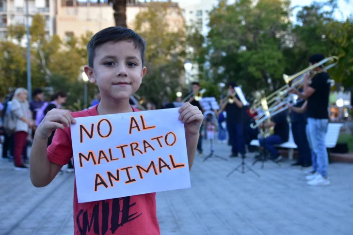 Dia-del-Animal-Diario-La-Provincia-SJ-13-728x485