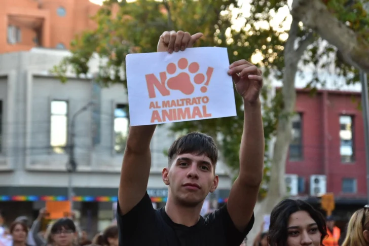 Dia-del-Animal-Diario-La-Provincia-SJ-5-728x485