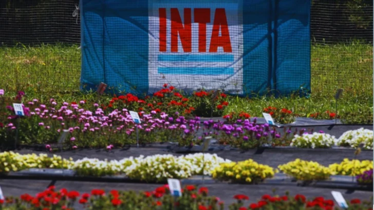 INTA-2-728x409
