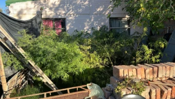 Secuestraron 27 plantas de marihuana, una moto robada y objetos de valor