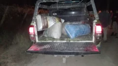 Hallaron 300 kilos de pasas de uva ocultos en un descampado de Caucete