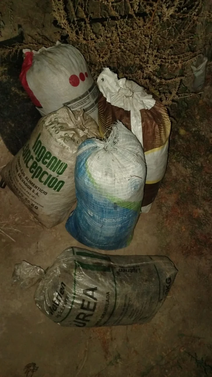 WhatsApp-Image-2025-04-26-at-10.19.20-728x1295