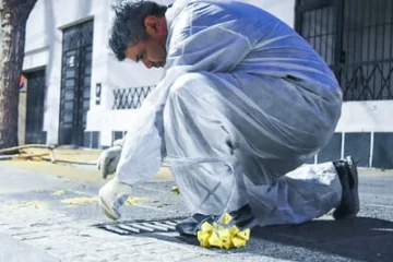 Conocé el cronograma de desratización y desinsectación en Capital