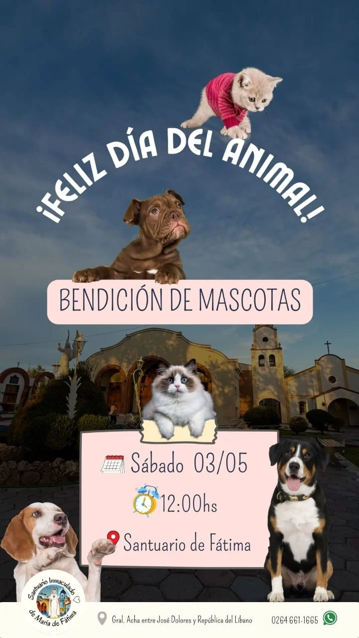 WhatsApp-Image-2025-04-29-at-18.02.21