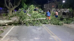 Personas asistidas y árboles caídos: San Juan enfrenta las consecuencias de la bomba polar