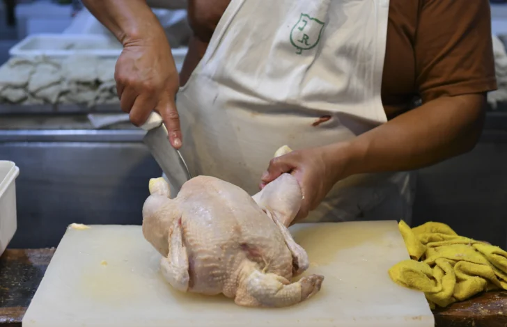avicola-pollo-2-728x470