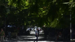 Vuelve el calorcito: así estará el tiempo este domingo en San Juan