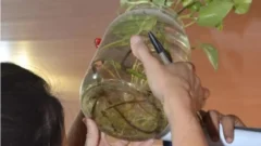 Sin dengue autóctono: San Juan redobla la prevención para la nueva temporada
