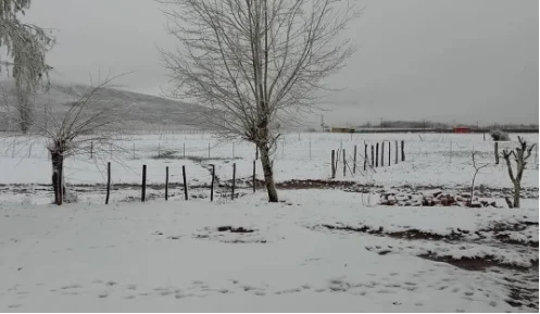 nieve-clases