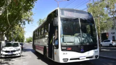 RedTulum: quiénes viajarán gratis en colectivo este 25 de Mayo