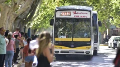Feriado XL por el día del Trabajador: qué pasará con los colectivos en San Juan