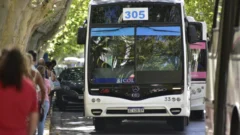 Habrá conciliación obligatoria por el paro de colectivos en San Juan