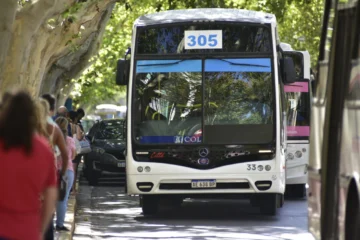 Habrá conciliación obligatoria por el paro de colectivos en San Juan