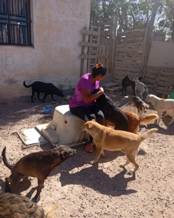 Día del animal: los proyectos de “La Casita de Tronquito” que logró su finca propia