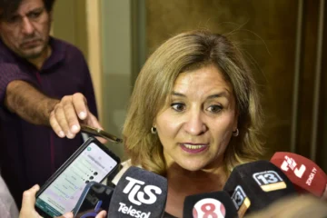 UDAP realizará una jornada nacional de lucha: ¿habrá paro de actividades?