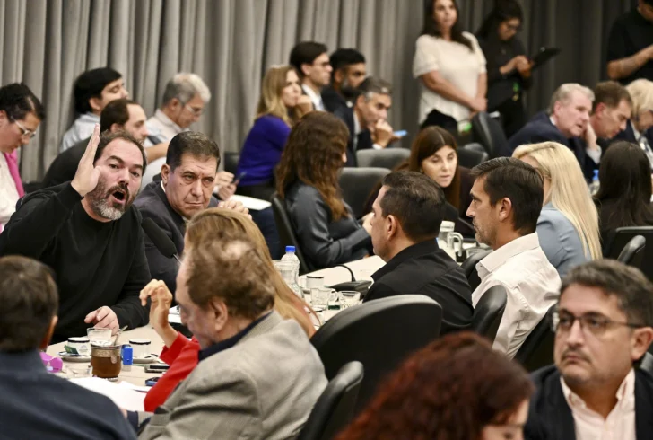Avanza el dictamen para bajar la imputabilidad a los 14 años