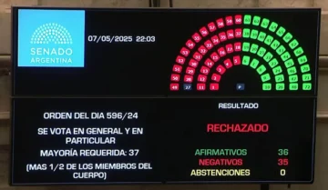 El Senado rechazó el proyecto Ficha Limpia