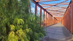 El “tesoro” que está a 17 km de la Ciudad y comienza a ser cubierto por la vegetación