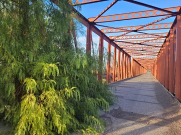 Puente de Alto de Sierra: el “tesoro” que está a 17 km de la Ciudad y comienza a ser cubierto por la vegetación