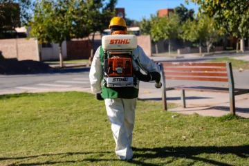 Conocé el cronograma de desratización y desinsectación en Capital