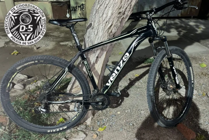 Robó una bicicleta en la escuela Sarmiento y fue detenido