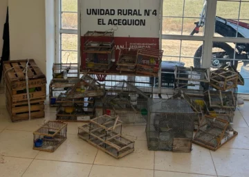 Secuestraron aves autóctonas en Media Agua valuadas en $6 millones