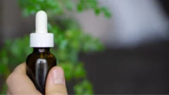 CANME redefine su hoja de ruta para 2025 y pone el foco en el cáñamo industrial