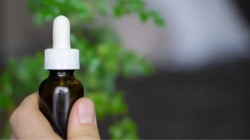 CANME redefine su hoja de ruta para 2025 y pone el foco en el cáñamo industrial