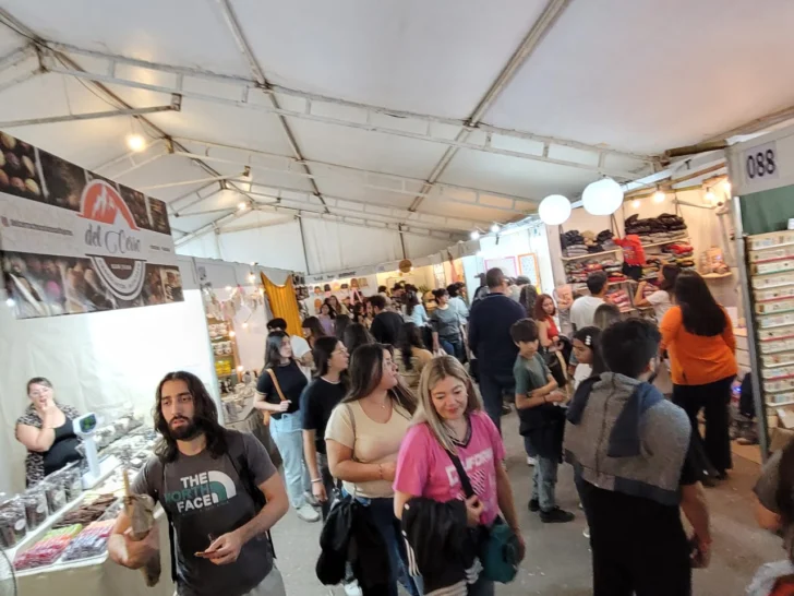 Feria-de-las-Artesanias-12-728x546